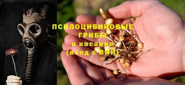 спиды Наволоки