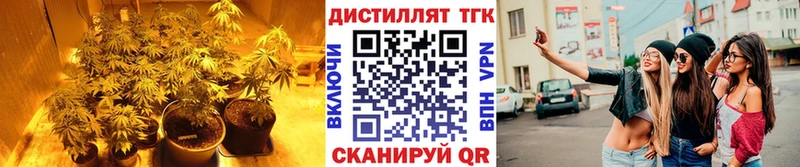 наркотики  Шимановск  МЕГА ссылка  ТГК вейп с тгк 