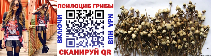 Галлюциногенные грибы Cubensis  blacksprut ONION  Шимановск 